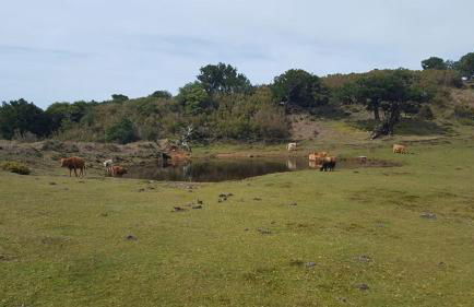 Quinta O Refúgio - Foto 64