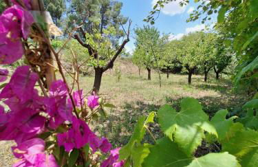 Quinta da Portela - Foto 36