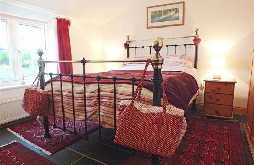 Gwndwn Gwyn - Photo 9