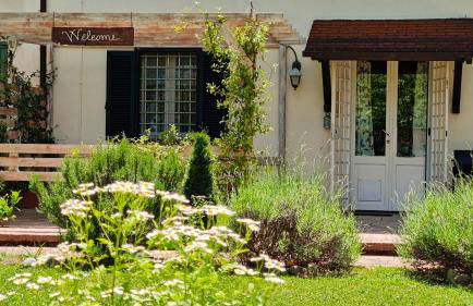 Locazione turistica nel verde Civita di Bagnoregio - Foto 48