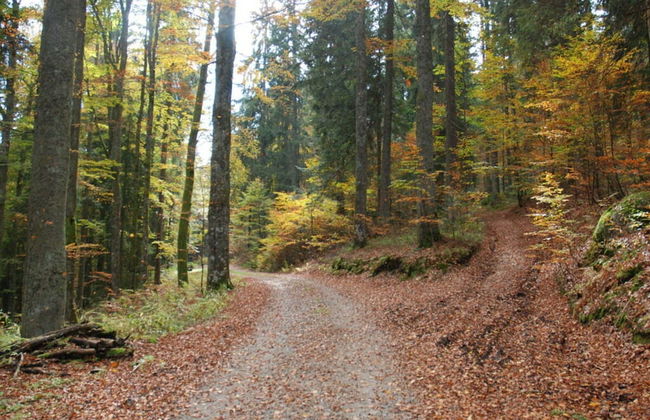 Mitterdorf Modern Retreat - Foto 31