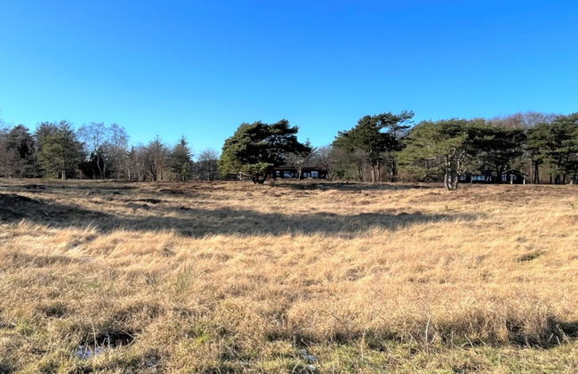 "Toska" - 100m to the fjord - Foto 14