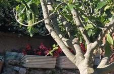 Paola's House - Foto 18