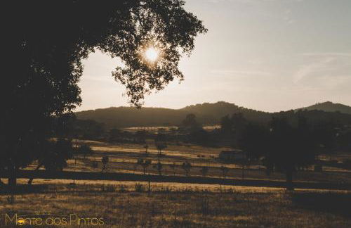 Monte dos Pintos - Foto 41