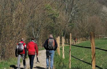 Le Renardeau - Foto 24