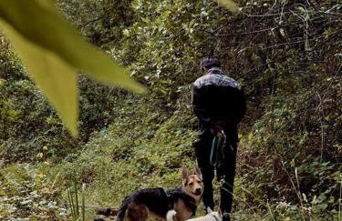 Modern House w. Fast Internet in 1 Acre Land - Foto 18