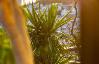 Panorama Loft - Foto 13