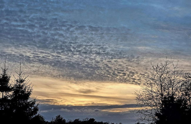 Luxury Spa Retreat in Thorsager - By Traum Ferienwohnungen - Photo 6