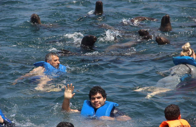 Palomino Islands Boat Trip - Foto 3