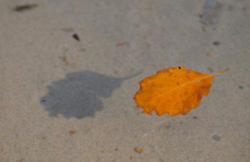 Apartament Babitonga I - Photo 45