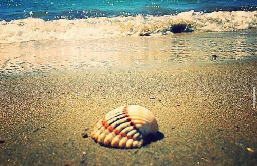 Villa Marlen - Foto 34