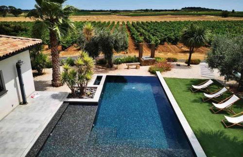 Villa contemporaine avec piscine à débordement dans un domaine viticole - Foto 1