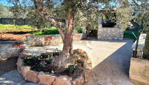 SGM CASA VACANZE - Foto 2, Garden, Garden view