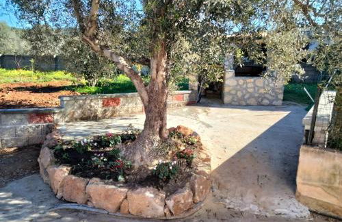 SGM CASA VACANZE - Foto 2