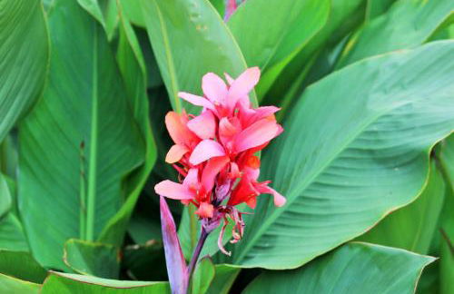 Gaestehaus Kön - Fewo Farfalle - Foto 23