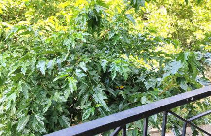 Katy's Home - Photo 34