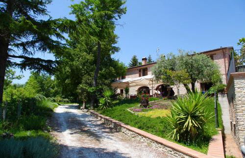 Agriturismo Biologico Villa Rosa - Photo 33