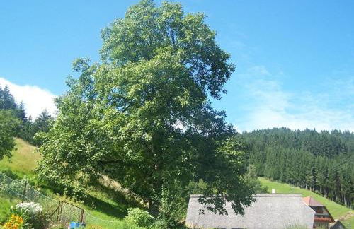 Gästehaus Brigitte Schoch - Photo 22