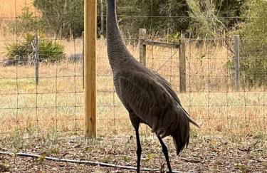 Half Moon Lake property - Foto 8