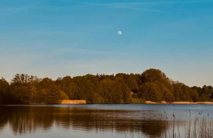 George Glamper AHOI - Foto 31