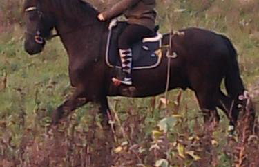 Gospodarstwo agroturystyczne - Foto 63