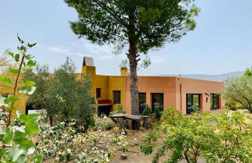 Casa SolyVida Tabernas - Foto 4