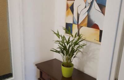 La Magnolia - Photo 16