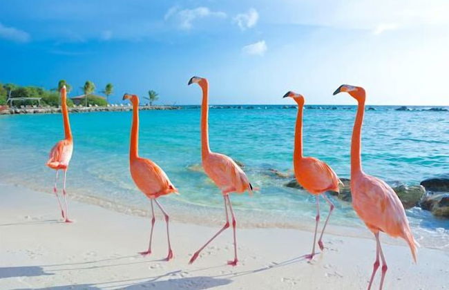 Remarkable 1-bed Apartment in Noord - Foto 27