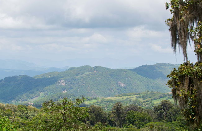 Trekking al Parco Naturale La Estanzuela - Foto 1