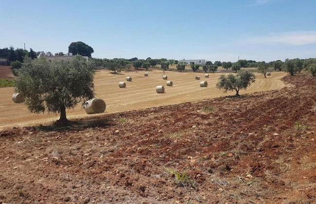 Belvilla by OYO La Villa - Foto 23