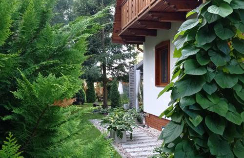 Siedlisko Gruszki Puszcza Białowieska - Foto 50