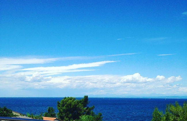 Apartments Delfin Villa Sofia - Foto 45