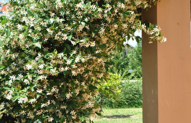 Stilvi No 16 - Photo 27