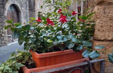 Historical Domus - Foto 36