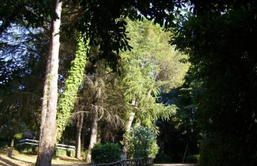 Villa San Filippo - Foto 14