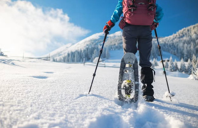 Snowshoe Trek - Photo 1