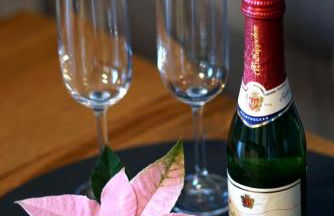 Ferienwohnung Neckel Hohnstorf - Foto 17