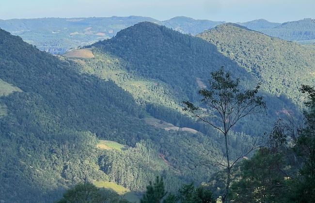 Taboo Refúgio - Foto 6