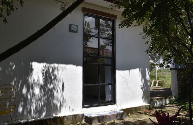 Finca del Pomar - Foto 8