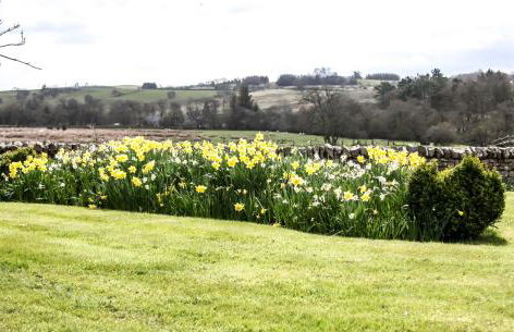 Yellow House - Foto 19