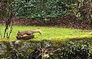 Cosy Cottage in Charming Village Close to Beach - Pass the Keys - Foto 17