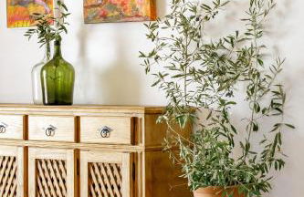 Monte de Matacães - Foto 23