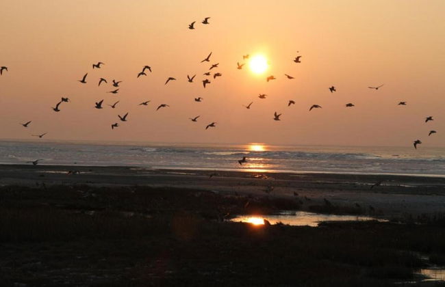 Comfortable Bungalow With Dishwasher, Near the Beach - Foto 31