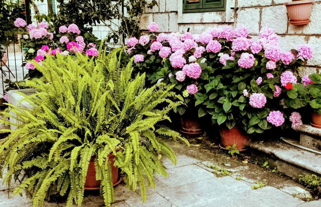 Apartments Sensa - Modern One-bedroom Apartment - Foto 22