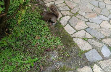 Garden Flat - Foto 38