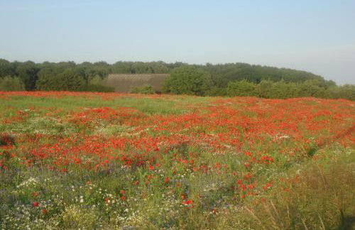 Appartementhaus Alter Speicher - Foto 39