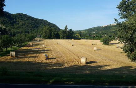 Elena Paternoster - Foto 11