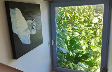 La Maison Bleue de Husseau Ancienne ferme semi-troglodytique 18e siècle - Foto 24