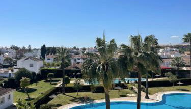Marbella Petunias Lorcrisur - Photo 2, Garden view
