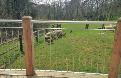 2 Bed in Stoke Abbott 50884 - Photo 19